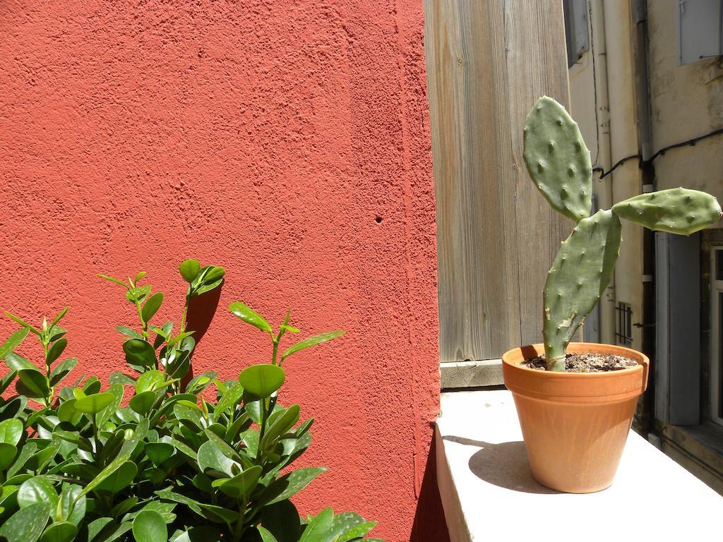 La Terrasse Du Marche Aux Fleurs Apartment Montpellier Room photo